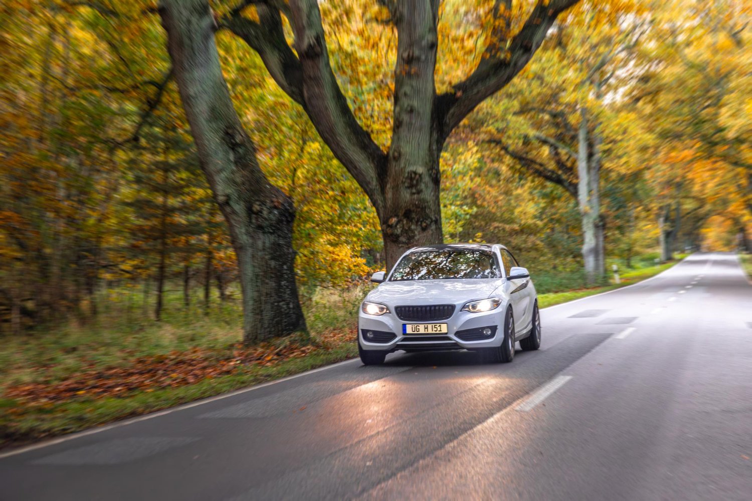 Egy ezüst színű autó halad egy őszi fákkal szegélyezett úton.